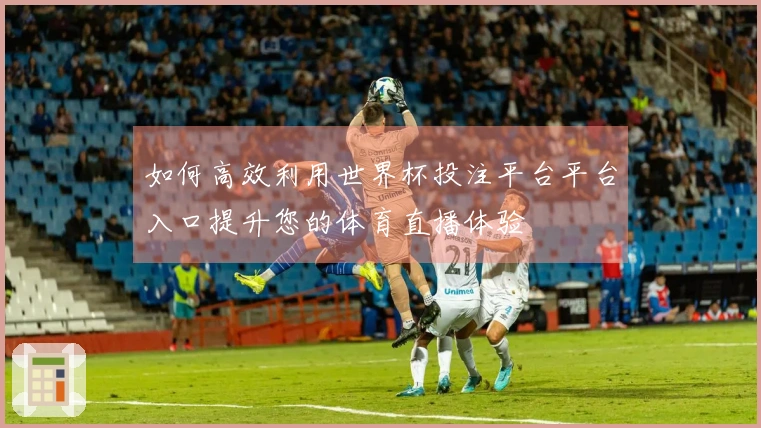 如何高效利用世界杯投注平台平台入口提升您的体育直播体验