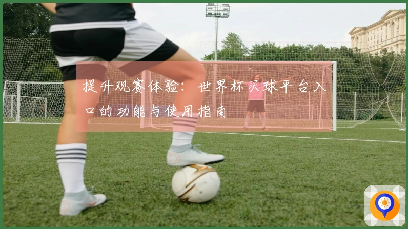 提升观赛体验：世界杯买球平台入口的功能与使用指南