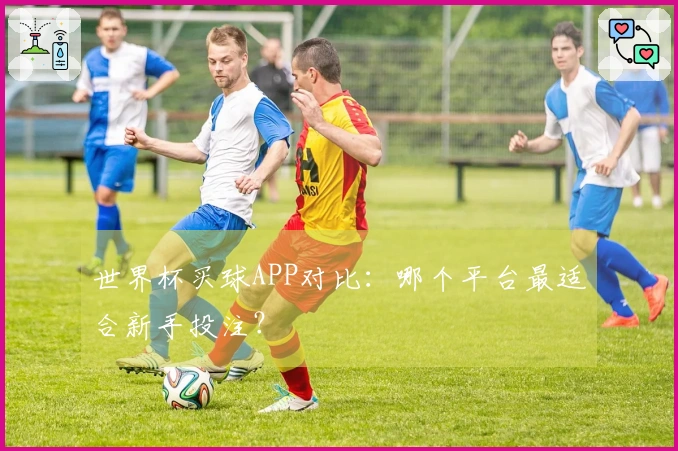 世界杯买球APP对比：哪个平台最适合新手投注？