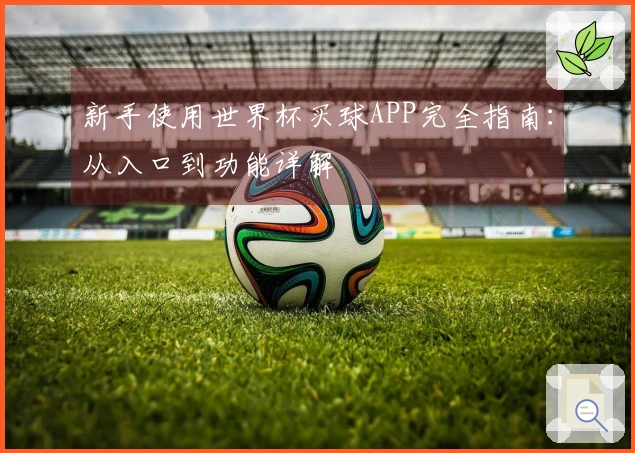 新手使用世界杯买球APP完全指南：从入口到功能详解