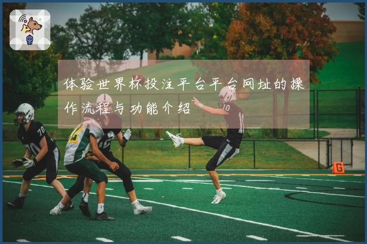 体验世界杯投注平台平台网址的操作流程与功能介绍