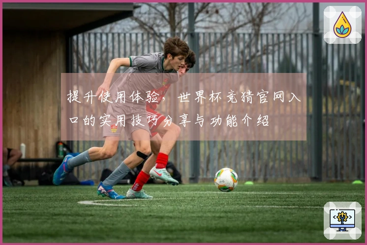 提升使用体验，世界杯竞猜官网入口的实用技巧分享与功能介绍