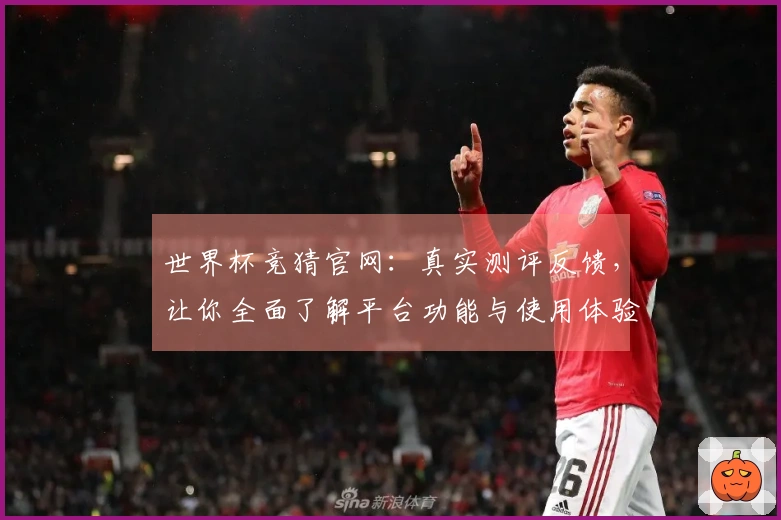 世界杯竞猜官网：真实测评反馈，让你全面了解平台功能与使用体验