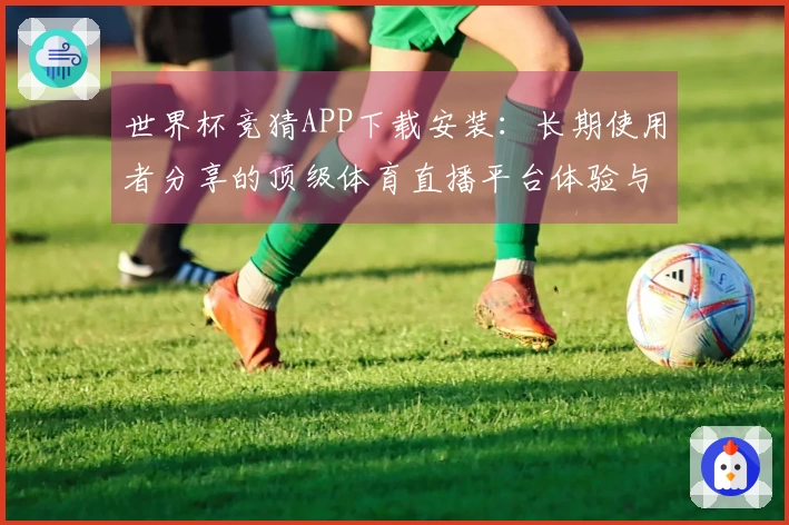 世界杯竞猜APP下载安装：长期使用者分享的顶级体育直播平台体验与功能介绍