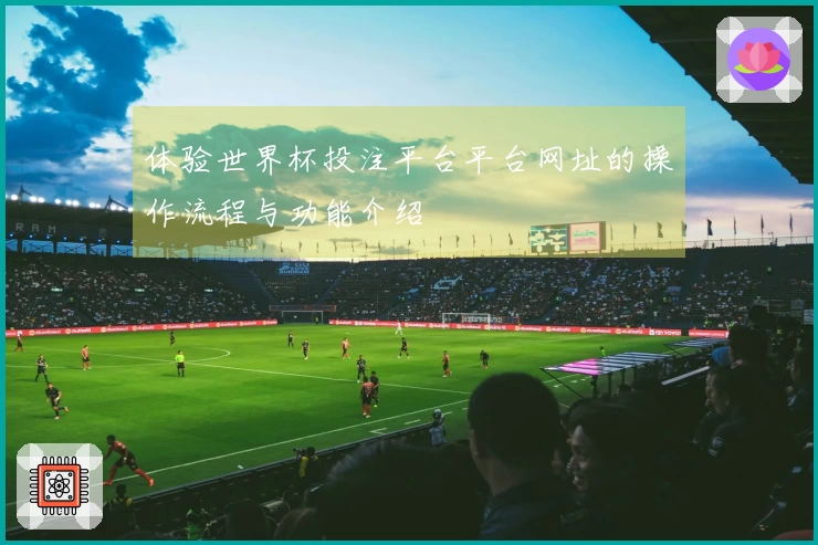 体验世界杯投注平台平台网址的操作流程与功能介绍
