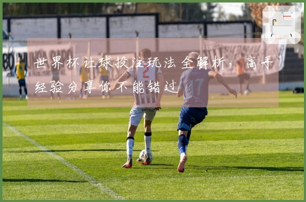 世界杯让球投注玩法全解析，高手经验分享你不能错过