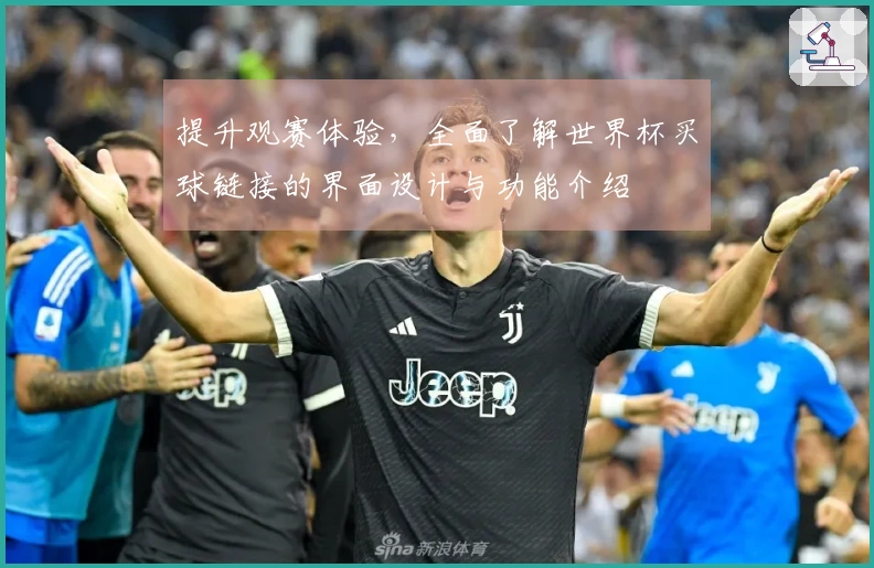 提升观赛体验，全面了解世界杯买球链接的界面设计与功能介绍