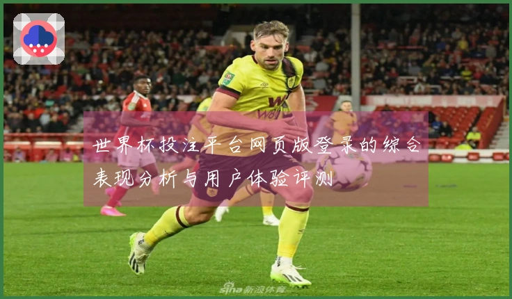 世界杯投注平台网页版登录的综合表现分析与用户体验评测