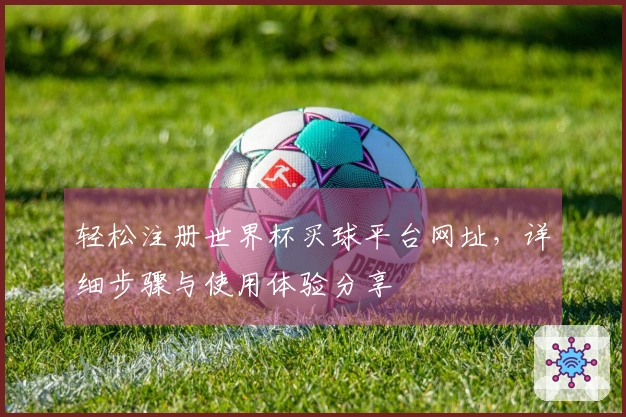 轻松注册世界杯买球平台网址，详细步骤与使用体验分享