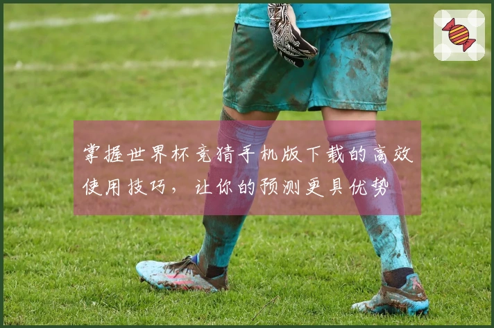 掌握世界杯竞猜手机版下载的高效使用技巧，让你的预测更具优势