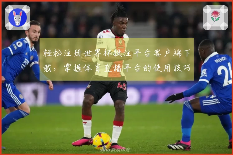 轻松注册世界杯投注平台客户端下载，掌握体育直播平台的使用技巧与功能介绍