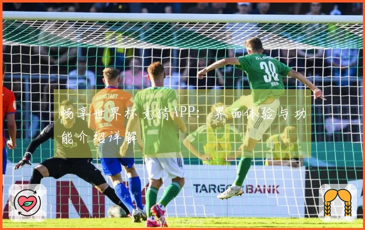 畅享世界杯竞猜APP：界面体验与功能介绍详解