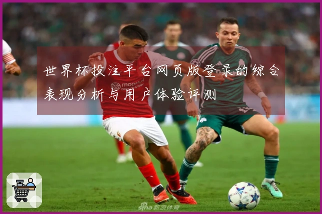 世界杯投注平台网页版登录的综合表现分析与用户体验评测