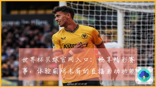 世界杯买球官网入口：畅享精彩赛事，体验前所未有的直播互动功能