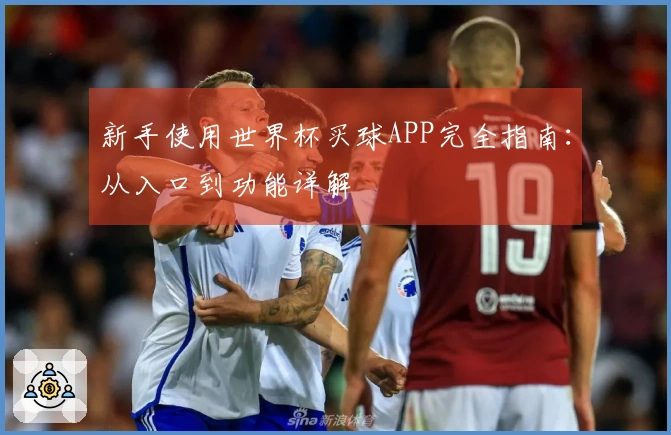 新手使用世界杯买球APP完全指南：从入口到功能详解