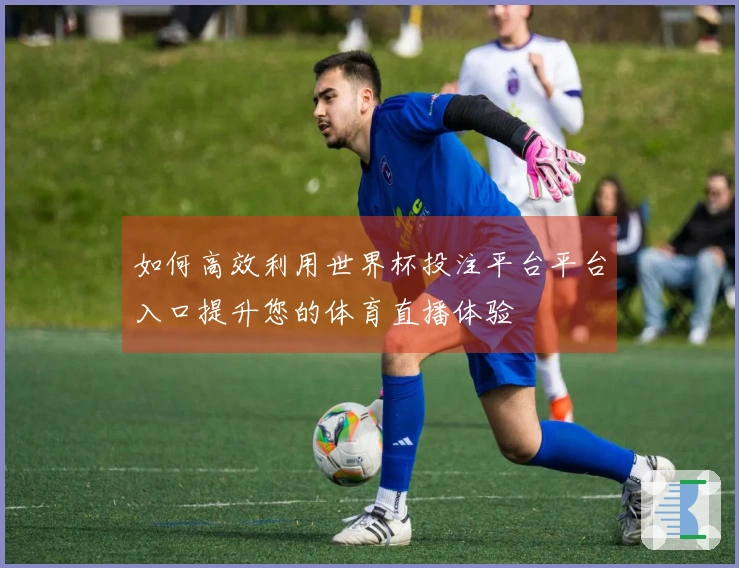 如何高效利用世界杯投注平台平台入口提升您的体育直播体验