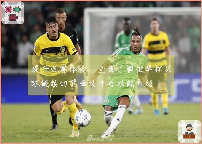 提升观赛体验，全面了解世界杯买球链接的界面设计与功能介绍