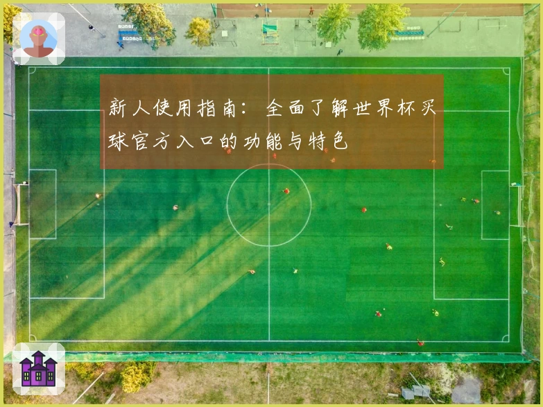 新人使用指南：全面了解世界杯买球官方入口的功能与特色